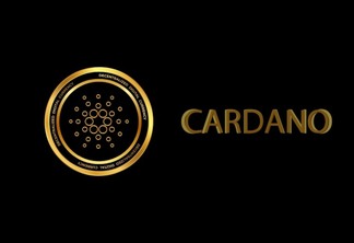 Cardano lidera espaço de criptomoedas, Solana especulações, KangaMoon inova mercado de meme coins. Rumo ao futuro das finanças - Eversurge