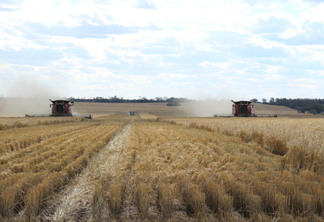 Colheita de trigo na Austrália - Reuters