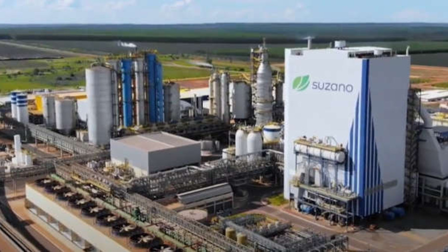 Suzano (SUZB3): lucro líquido cai 95% em um ano, a R$ 220 milhões no 1º trimestre de 2024