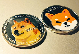 Comunidades de Dogecoin e Shiba Inu entusiasmadas com a pré-venda da Raffle Coin, prevendo um aumento de preço de 50x - Crypto-BR