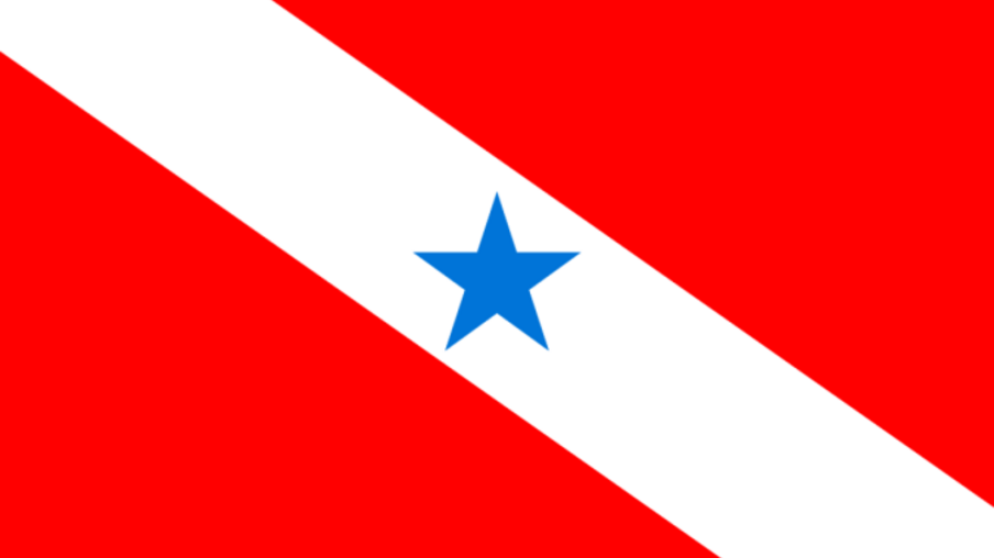 Bandeira do Estado do Pará - Governo Federal